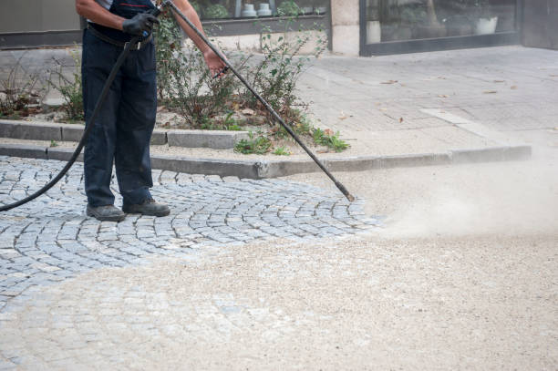 Animal Enclosure Cleaning in West Fairview, PA